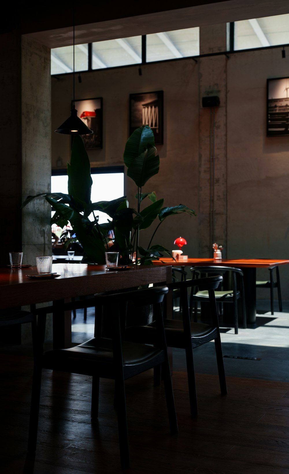 Placeholder image: warm, welcoming restaurant dining area prepared for guests